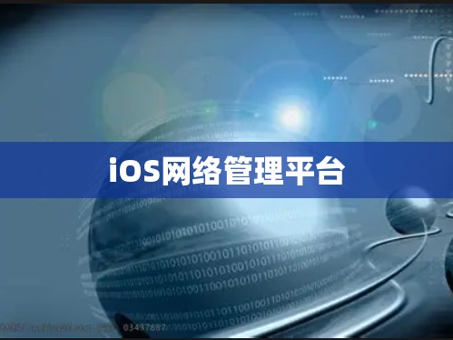 iOS网络管理平台