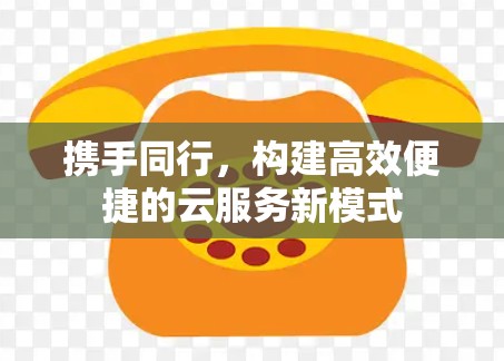 携手同行，构建高效便捷的云服务新模式