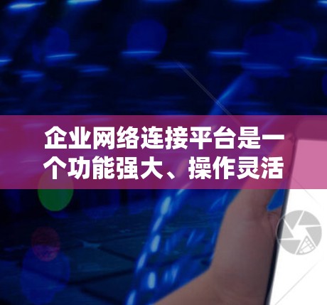 企业网络连接平台是一个功能强大、操作灵活的网络管理软件，帮助企业高效管理和维护网络环境。以下是对该平台的总结