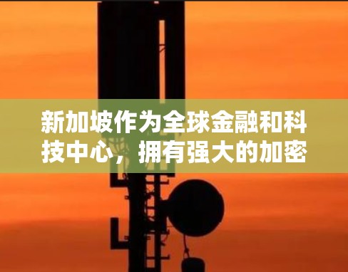 新加坡作为全球金融和科技中心，拥有强大的加密网络和复杂的网络安全措施。在新加坡运营的VPN节点检测需要遵循新加坡的网络安全法规和政策，以确保网络的安全性和合规性。以下是一些关键点和建议