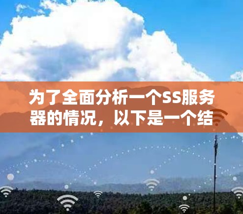 为了全面分析一个SS服务器的情况，以下是一个结构化且详细的心得