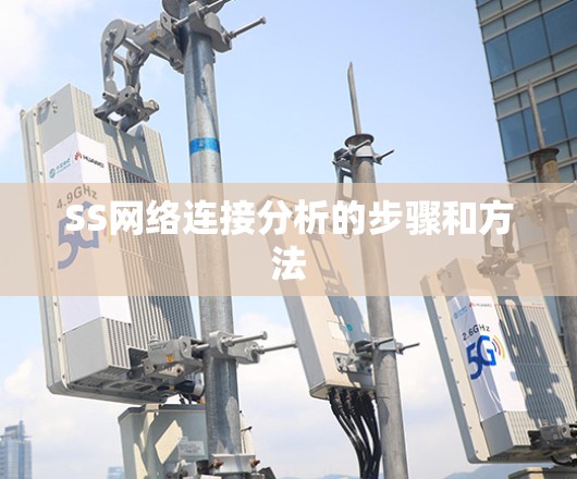 SS网络连接分析的步骤和方法