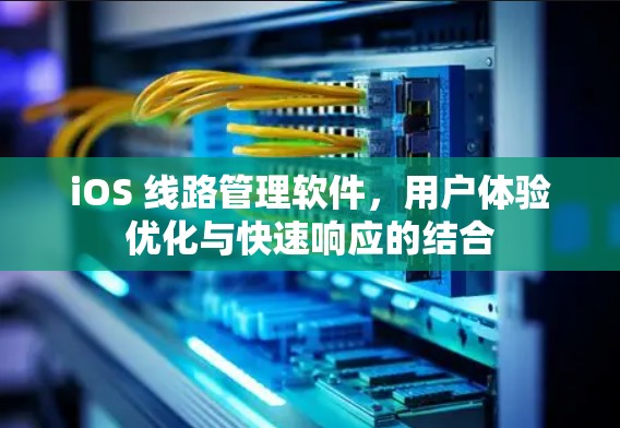 iOS 线路管理软件，用户体验优化与快速响应的结合
