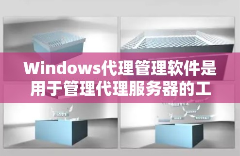 Windows代理管理软件是用于管理代理服务器的工具，常见于软件开发、游戏开发和网络服务管理等领域。以下是一些常见的Windows代理管理软件及其使用方法