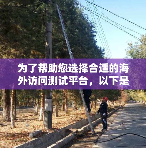为了帮助您选择合适的海外访问测试平台，以下是分步指南