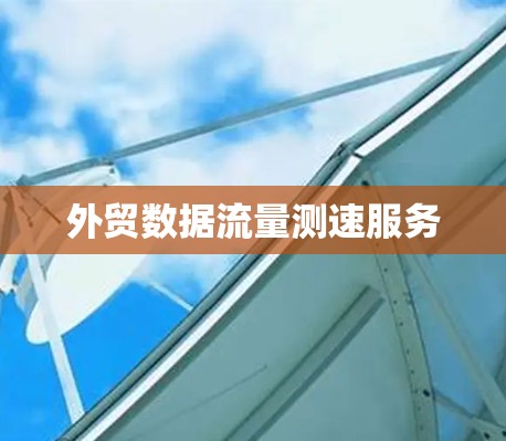 外贸数据流量测速服务 外贸数据流量测速服务