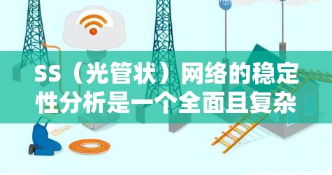 SS（光管状）网络的稳定性分析是一个全面且复杂的领域，涉及多个方面和方法。以下是对该领域的一些总结和分析