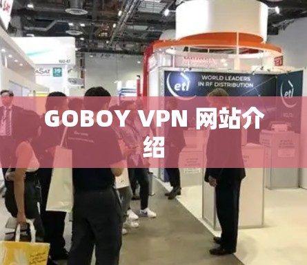 GOBOY VPN 网站介绍