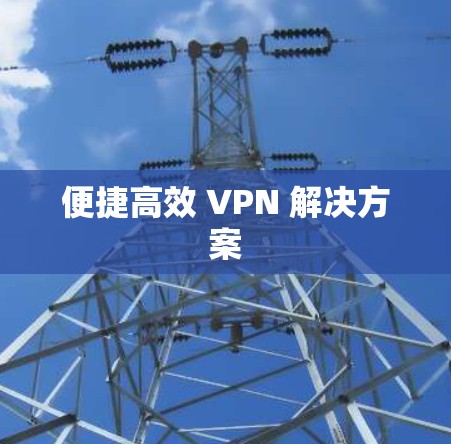 便捷高效 VPN 解决方案 便捷高效 VPN 解决方案