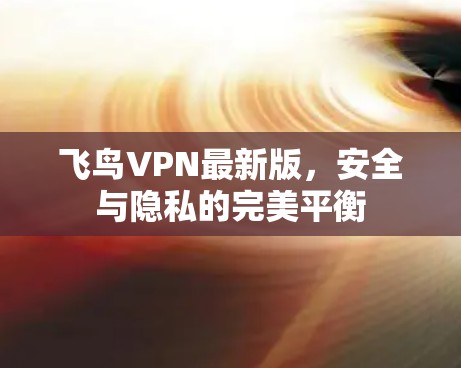 飞鸟VPN最新版，安全与隐私的完美平衡