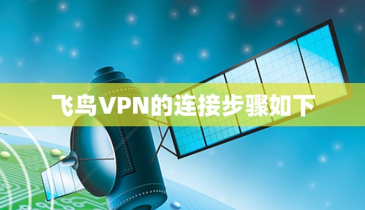 飞鸟VPN的连接步骤如下
