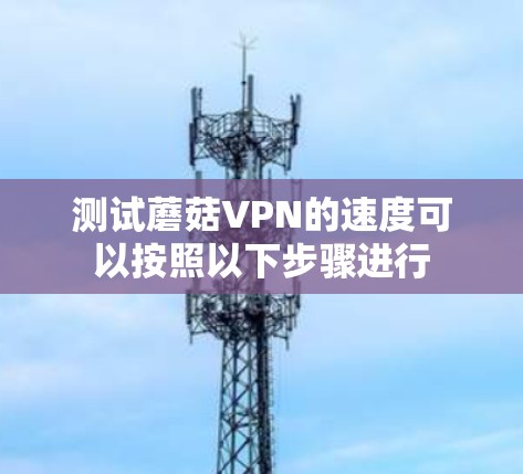 测试蘑菇VPN的速度可以按照以下步骤进行 测试蘑菇VPN的速度可以按照以下步骤进行