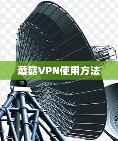 蘑菇VPN使用方法 蘑菇VPN使用方法