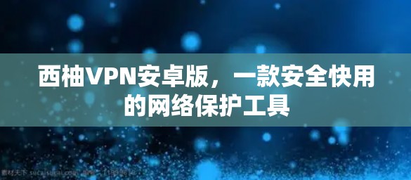 西柚VPN安卓版,一款安全快用的网络保护工具 西柚VPN安卓版,一款安全快用的网络保护工具