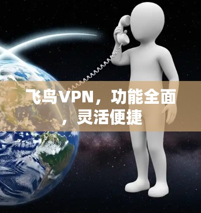 飞鸟VPN，功能全面，灵活便捷