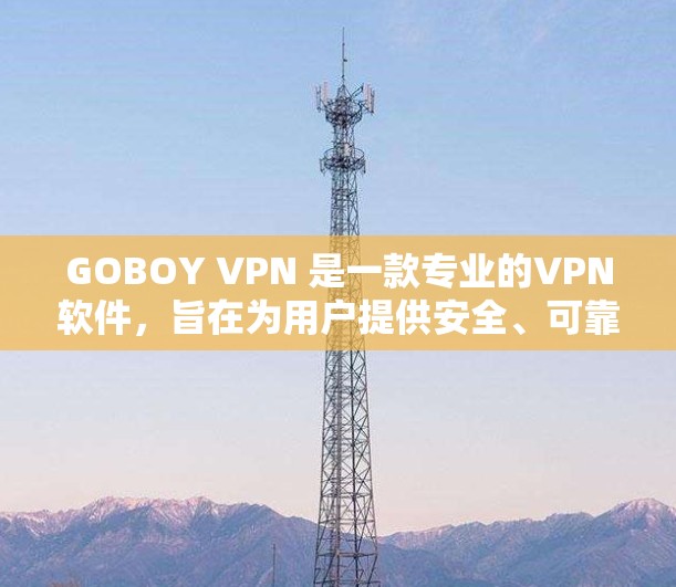 GOBOY VPN 是一款专业的VPN软件，旨在为用户提供安全、可靠的VPN服务。以下是一些关于GOBOY VPN 的常见版本信息
