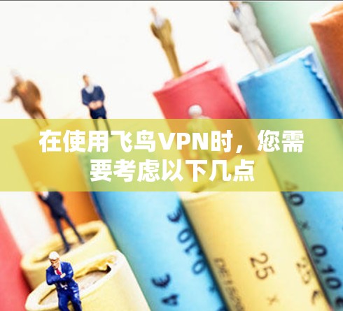 在使用飞鸟VPN时，您需要考虑以下几点