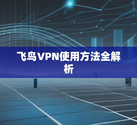 飞鸟VPN使用方法全解析