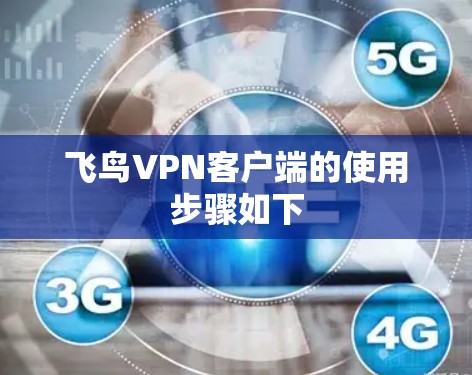 飞鸟VPN客户端的使用步骤如下