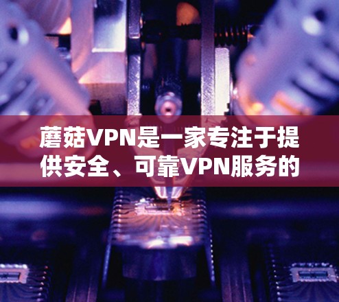 蘑菇VPN是一家专注于提供安全、可靠VPN服务的中国公司，它自22年开始推出多款版本，逐步完善功能和优化用户体验，满足用户日益增长的VPN需求。以下是蘑菇VPN的最新版本介绍