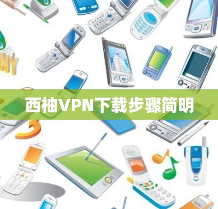 西柚VPN下载步骤简明