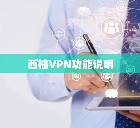 西柚VPN功能说明