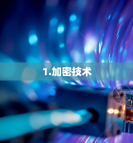 1.加密技术