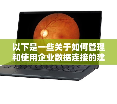 以下是一些关于如何管理和使用企业数据连接的建议