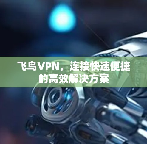 飞鸟VPN，连接快速便捷的高效解决方案