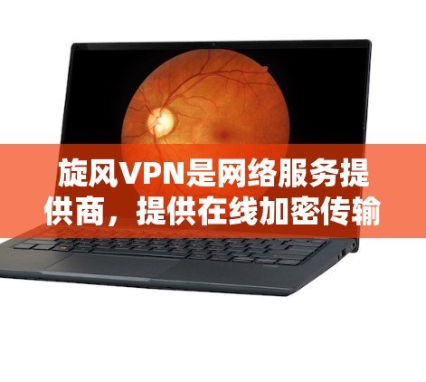 旋风VPN是网络服务提供商，提供在线加密传输数据的服务，如视频、文件或消息。以下是使用旋风VPN的步骤和教程