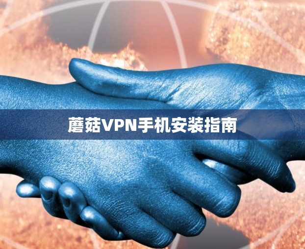 蘑菇VPN手机安装指南