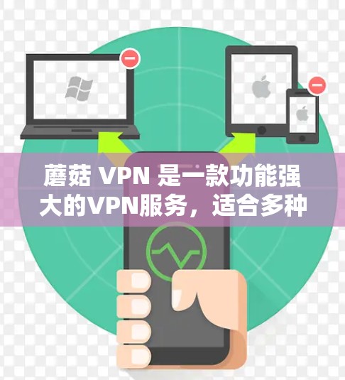蘑菇 VPN 是一款功能强大的VPN服务，适合多种使用场景。以下是对蘑菇 VPN 使用体验的总结