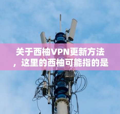 关于西柚VPN更新方法，这里的西柚可能指的是某个特定的VPN软件或品牌。如果您指的是某个特定的VPN软件，获取其最新更新方法，您可以按照以下步骤操作