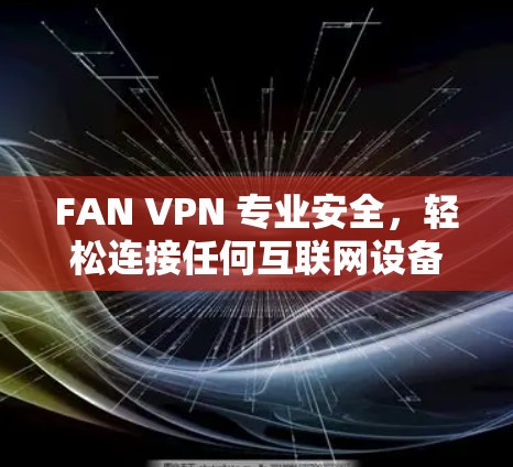 FAN VPN 专业安全，轻松连接任何互联网设备