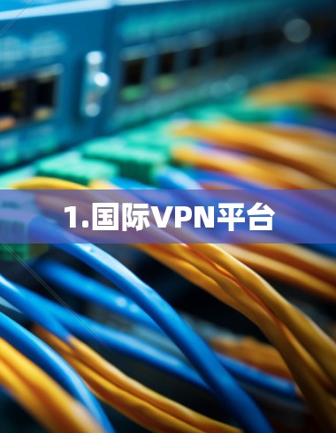 1.国际VPN平台
