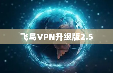 飞鸟VPN升级版2.5