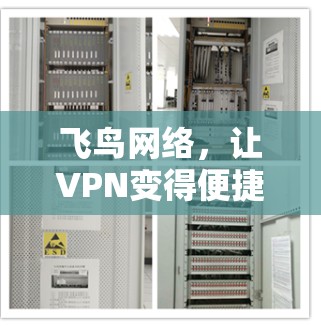 飞鸟网络，让VPN变得便捷