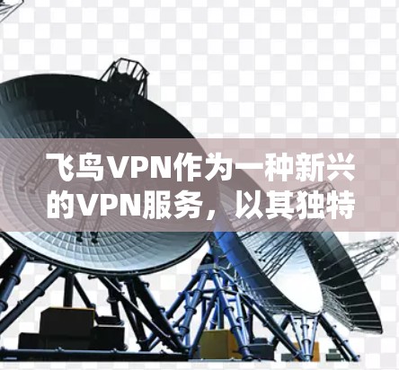 飞鸟VPN作为一种新兴的VPN服务，以其独特的功能和优势受到了广泛关注。以下是对飞鸟VPN功能的分析