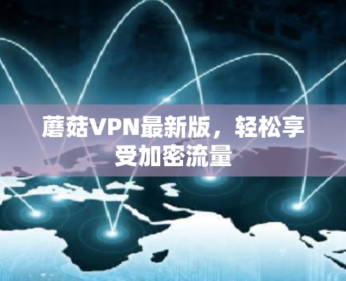 蘑菇VPN最新版，轻松享受加密流量
