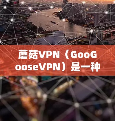 蘑菇VPN（GooGooseVPN）是一种通过互联网实现VPN功能的软件，通常使用手机、电脑或平板来连接外部服务器。以下是关于蘑菇VPN手机连接的常见问题及解决方法