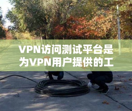 VPN访问测试平台是为VPN用户提供的工具，用于模拟和验证VPN访问过程，帮助用户了解安全性和流量管理。以下是关于这些平台的详细信息