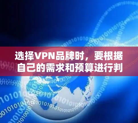 选择VPN品牌时，要根据自己的需求和预算进行判断。以下是一些建议和指南，帮助你在国内选择一家安全可靠的VPN品牌