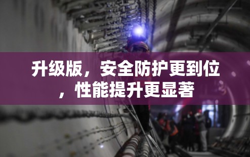 升级版，安全防护更到位，性能提升更显著