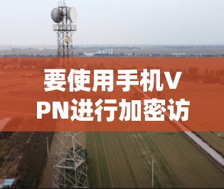 要使用手机VPN进行加密访问，可以按照以下步骤进行操作