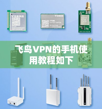 飞鸟VPN的手机使用教程如下