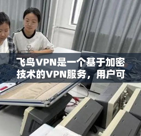 飞鸟VPN是一个基于加密技术的VPN服务，用户可以通过手机或电脑访问国外网站。以下是对飞鸟VPN速度体验的详细分析
