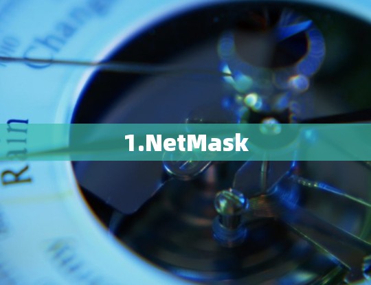 1.NetMask