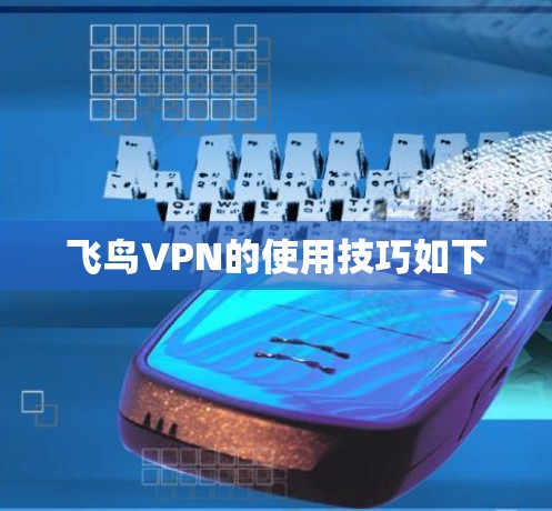 飞鸟VPN的使用技巧如下