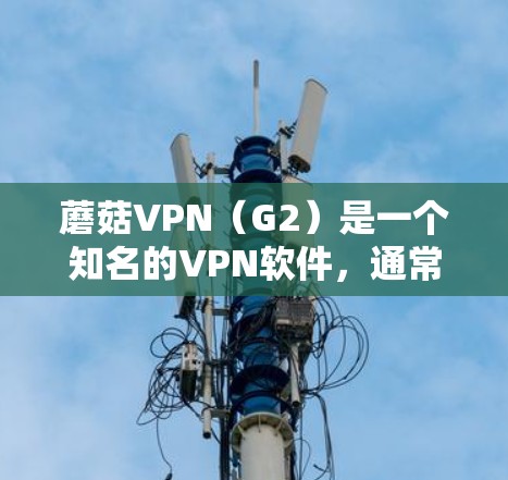 蘑菇VPN（G2）是一个知名的VPN软件，通常分为几个版本，具体版本和特点如下