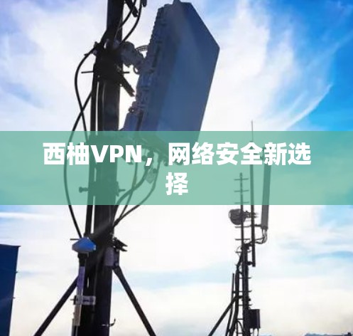西柚VPN，网络安全新选择